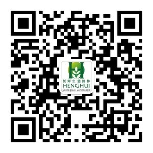 公众号二维码.jpg