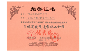 2021 年度东莞“绣匠杯”劳动技能大赛团体赛花境造型施工优秀奖